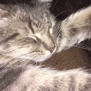 Meet your Posher, Kellene